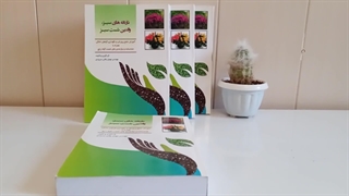 کتاب پرورش و نگهداری گیاهان آپارتمانی به سبک شست‌سبزها!