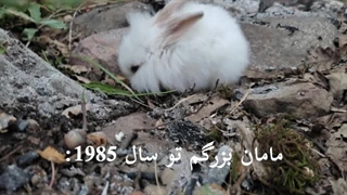 سو سوییتی:)))یوچلا رو دیدم:گریه::خنده:خیلی‌کیوتهههههه‌من‌نمیتونمش