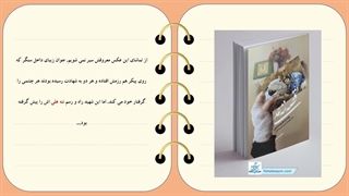 معرفی و خلاصه کتاب قصه ننه علی با تخفیف