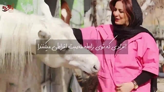 چرا در رابطه شکست میخوریم؟ علت شکست در رابطه