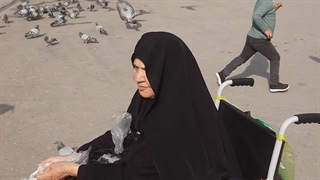 دون دادن کبوترها حرم حضرت ابوالفضل