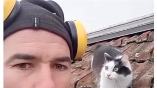 واکنش گربه به صدای گربه !