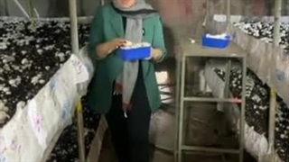 پرورش قارچ 6