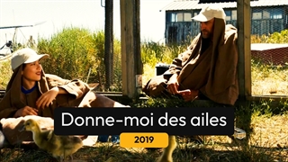 Donne-moi des ailes