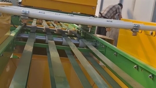 پرورش گیاهان زینتی در گلخانه