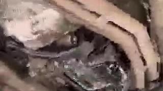 بدبینی به مکانیک/مجتمع خدمات خودرویی اوکا/بهترین تعمیرگاه های خودرو در تهران