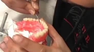 آموزش دندان سازی دندانسازی حضوری مجازی ایران زمین