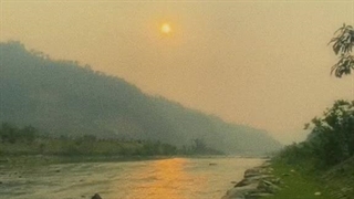 کی فکرشو میکرد یه گاو انقدر حالمو خوب کنه؟:>>>>"کپشن"