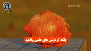 اینها جادو نیستن بلکه آزمایش های علمی واقعین