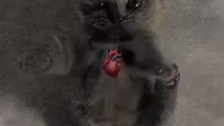 وایبی که خاله سلین بهم میده:))))