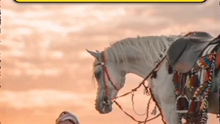 تنها راه شناخت اسلام