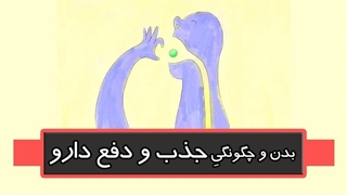 بدن و چگونگی جذب و دفع دارو