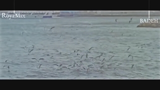 این همکاری خفن من و رویا رو یادتونه؟! کپشن ♡-♡