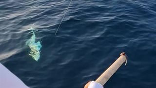 آموزش ماهیگیری با قلاب در خلیج فارس، جزیره لاوان