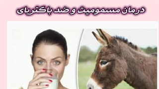 جدیدترین درمان با شیر الاغ تازه طبیعی /09120750932