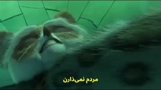 حوزه اخذ رای، شعبه قصر یشم =)