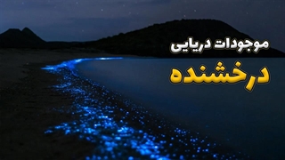 آبزیان اقیانوس می‌درخشند!!