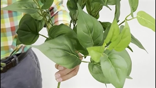 بوته مصنوعی با رنگبندی سبز تیره و روشن کیفیت درجه یک