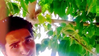 آهنگ بام بد تا کرد بهش گفتم که موهای بلندتو می‌خوام میلاد جهانبخش