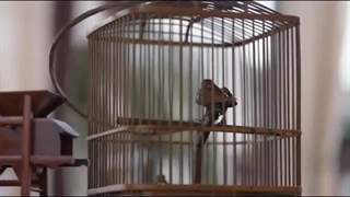 سریال جدید شیائو جان - Legend of Zang قسمت 33