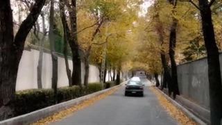 عاشقانه ترین و غمگین ترین آهنگ تاریخ موسیقی ایران Shahin Najafi - Hamoon