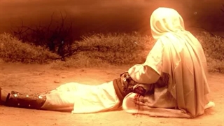 دانلود مداحی مهدی ذوالفقاری نژاد ولدی علی | محرم 1404