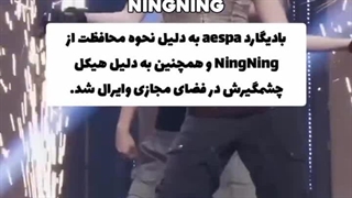 ایدل های که بخاطر بادیگارد هاشون معروف شدن